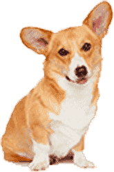 网页在线DDOS压力测试